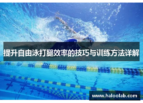 提升自由泳打腿效率的技巧与训练方法详解