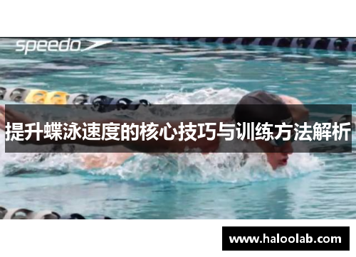 提升蝶泳速度的核心技巧与训练方法解析