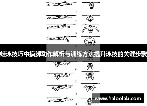 蛙泳技巧中摸脚动作解析与训练方法提升泳技的关键步骤