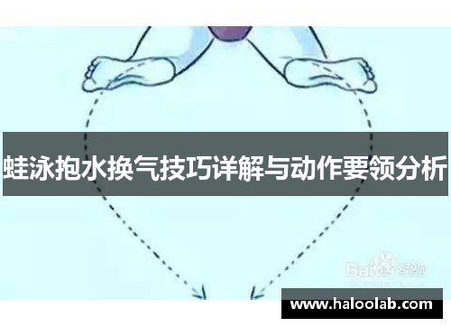 蛙泳抱水换气技巧详解与动作要领分析
