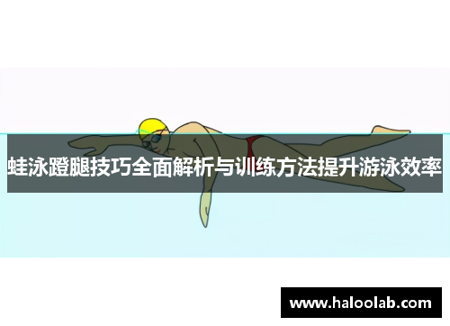 蛙泳蹬腿技巧全面解析与训练方法提升游泳效率
