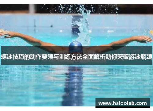 蝶泳技巧的动作要领与训练方法全面解析助你突破游泳瓶颈