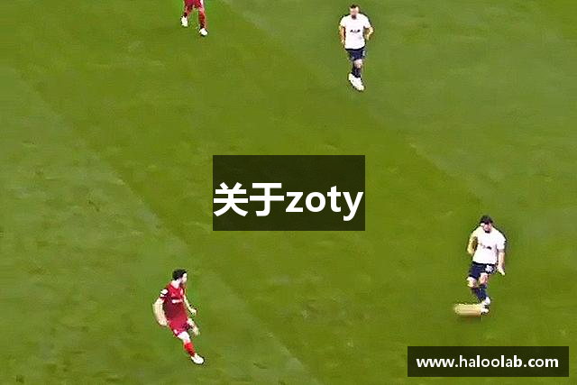 关于zoty